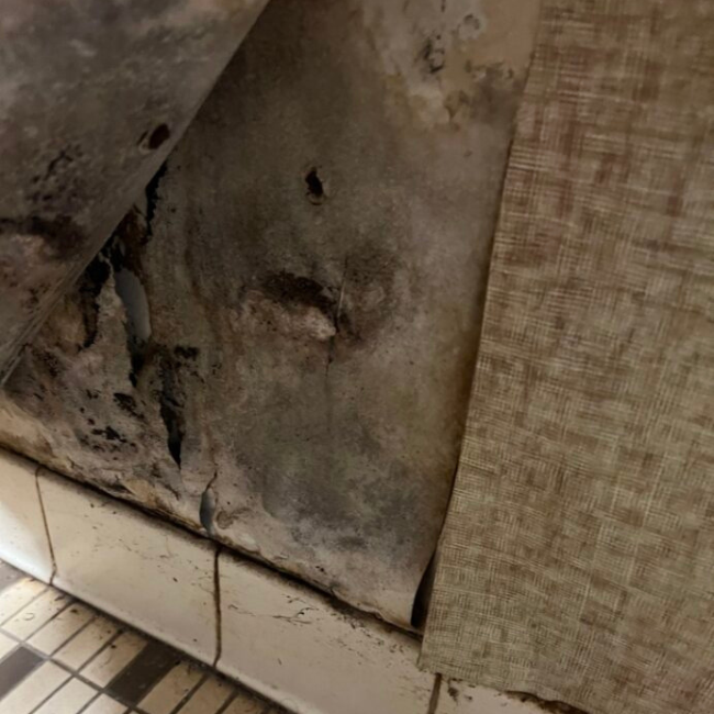 An image showing significant black mold growth on a wall next to a tiled floor and partially covered by a curtain hints at improper moisture management, possibly due to the proximity of a nearby pond.